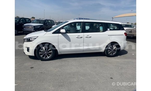 Buy Import Kia Carnival White Car in Import - Dubai in Al Jazirah State Buy Import Kia Carnival White Car in Import - Dubai in Al Jazirah State