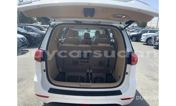 Buy Import Kia Carnival White Car in Import - Dubai in Al Jazirah State Buy Import Kia Carnival White Car in Import - Dubai in Al Jazirah State