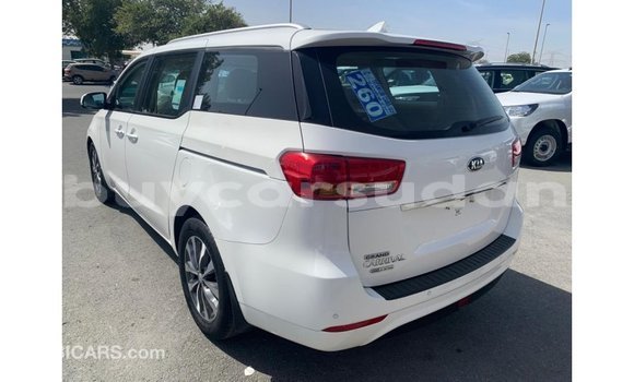 Buy Import Kia Carnival White Car in Import - Dubai in Al Jazirah State Buy Import Kia Carnival White Car in Import - Dubai in Al Jazirah State