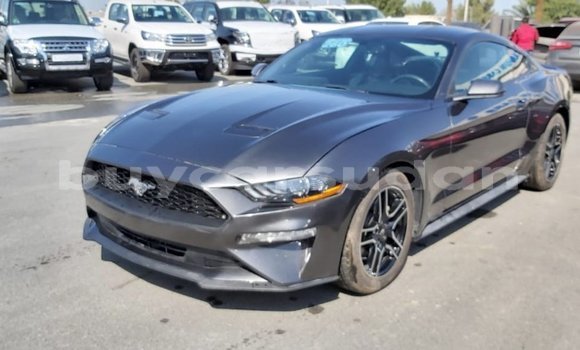 Buy Import Ford Mustang Other Car in Import - Dubai in Al Jazirah State Buy Import Ford Mustang Other Car in Import - Dubai in Al Jazirah State