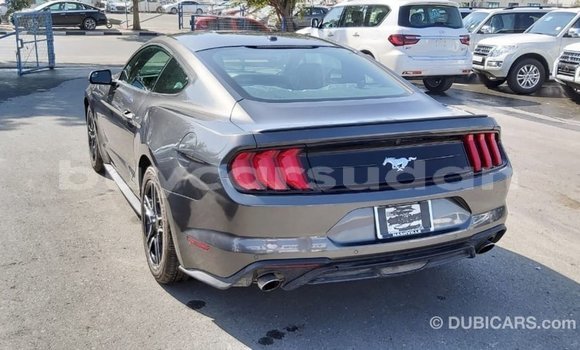 Buy Import Ford Mustang Other Car in Import - Dubai in Al Jazirah State Buy Import Ford Mustang Other Car in Import - Dubai in Al Jazirah State