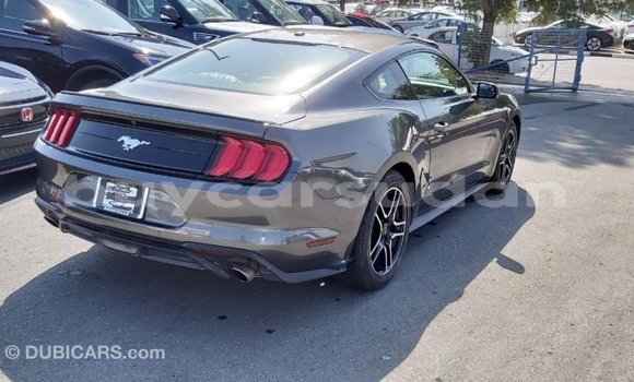 Buy Import Ford Mustang Other Car in Import - Dubai in Al Jazirah State Buy Import Ford Mustang Other Car in Import - Dubai in Al Jazirah State
