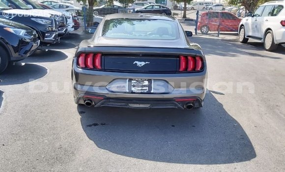 Buy Import Ford Mustang Other Car in Import - Dubai in Al Jazirah State Buy Import Ford Mustang Other Car in Import - Dubai in Al Jazirah State