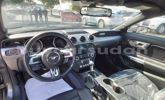 Buy Import Ford Mustang Other Car in Import - Dubai in Al Jazirah State Buy Import Ford Mustang Other Car in Import - Dubai in Al Jazirah State
