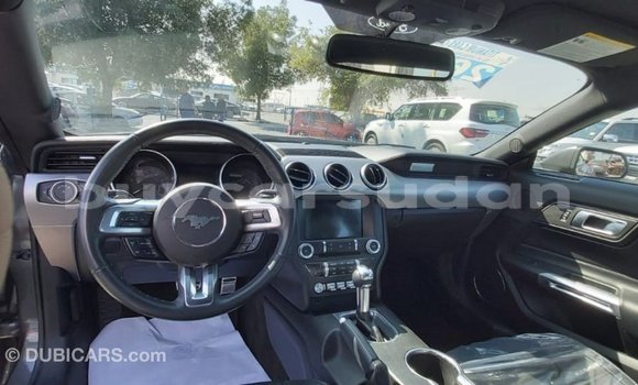 Buy Import Ford Mustang Other Car in Import - Dubai in Al Jazirah State Buy Import Ford Mustang Other Car in Import - Dubai in Al Jazirah State