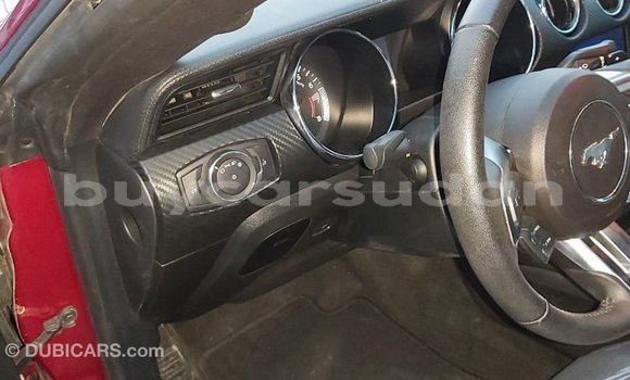 Buy Import Ford Mustang Red Car in Import - Dubai in Al Jazirah State Buy Import Ford Mustang Red Car in Import - Dubai in Al Jazirah State