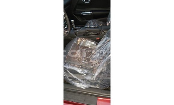 Buy Import Ford Mustang Red Car in Import - Dubai in Al Jazirah State Buy Import Ford Mustang Red Car in Import - Dubai in Al Jazirah State