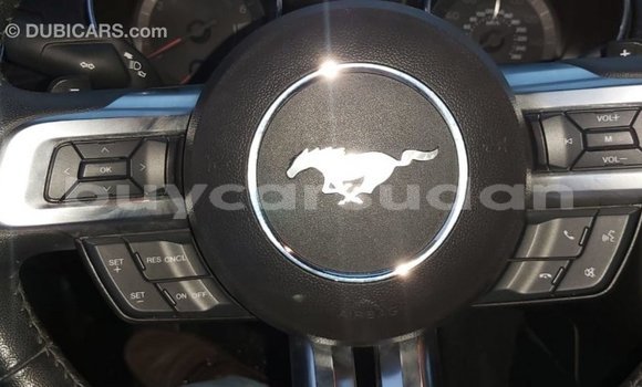 Buy Import Ford Mustang Red Car in Import - Dubai in Al Jazirah State Buy Import Ford Mustang Red Car in Import - Dubai in Al Jazirah State
