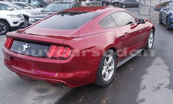 Buy Import Ford Mustang Red Car in Import - Dubai in Al Jazirah State Buy Import Ford Mustang Red Car in Import - Dubai in Al Jazirah State