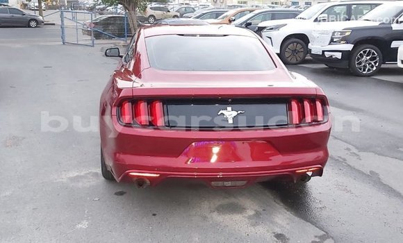 Buy Import Ford Mustang Red Car in Import - Dubai in Al Jazirah State Buy Import Ford Mustang Red Car in Import - Dubai in Al Jazirah State