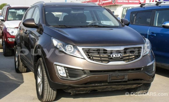 Buy Import Kia Sportage Brown Car in Import - Dubai in Al Jazirah State Buy Import Kia Sportage Brown Car in Import - Dubai in Al Jazirah State