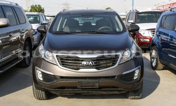 Buy Import Kia Sportage Brown Car in Import - Dubai in Al Jazirah State Buy Import Kia Sportage Brown Car in Import - Dubai in Al Jazirah State
