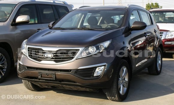 Buy Import Kia Sportage Brown Car in Import - Dubai in Al Jazirah State Buy Import Kia Sportage Brown Car in Import - Dubai in Al Jazirah State