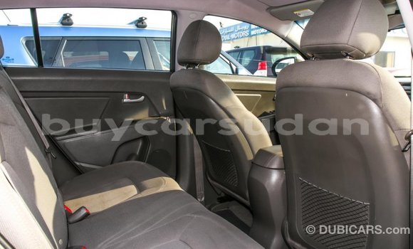 Buy Import Kia Sportage Brown Car in Import - Dubai in Al Jazirah State Buy Import Kia Sportage Brown Car in Import - Dubai in Al Jazirah State