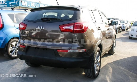 Buy Import Kia Sportage Brown Car in Import - Dubai in Al Jazirah State Buy Import Kia Sportage Brown Car in Import - Dubai in Al Jazirah State
