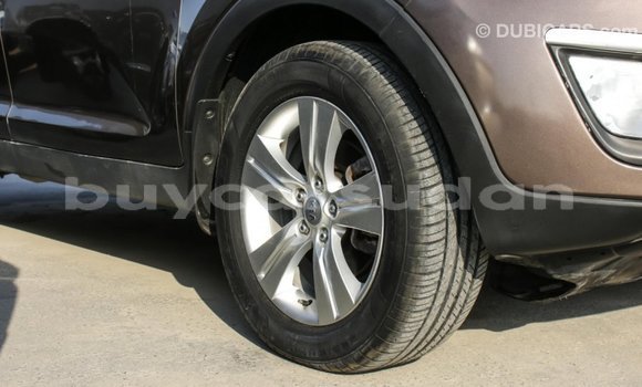 Buy Import Kia Sportage Brown Car in Import - Dubai in Al Jazirah State