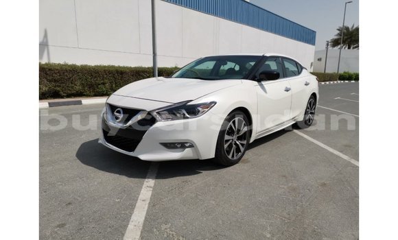 Buy Import Nissan Maxima White Car in Import - Dubai in Al Jazirah State Buy Import Nissan Maxima White Car in Import - Dubai in Al Jazirah State
