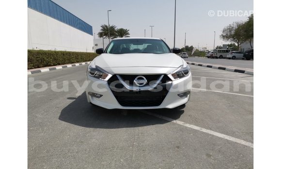 Buy Import Nissan Maxima White Car in Import - Dubai in Al Jazirah State Buy Import Nissan Maxima White Car in Import - Dubai in Al Jazirah State