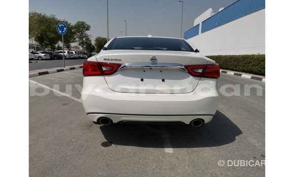 Buy Import Nissan Maxima White Car in Import - Dubai in Al Jazirah State Buy Import Nissan Maxima White Car in Import - Dubai in Al Jazirah State