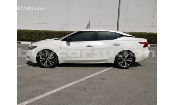 Buy Import Nissan Maxima White Car in Import - Dubai in Al Jazirah State Buy Import Nissan Maxima White Car in Import - Dubai in Al Jazirah State