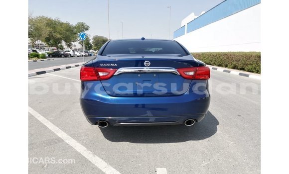 Buy Import Nissan Maxima Blue Car in Import - Dubai in Al Jazirah State Buy Import Nissan Maxima Blue Car in Import - Dubai in Al Jazirah State