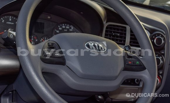 Buy Import Kia K3 White Car in Import - Dubai in Al Jazirah State Buy Import Kia K3 White Car in Import - Dubai in Al Jazirah State