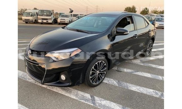 Buy Import Toyota Corolla Black Car in Import - Dubai in Al Jazirah State Buy Import Toyota Corolla Black Car in Import - Dubai in Al Jazirah State