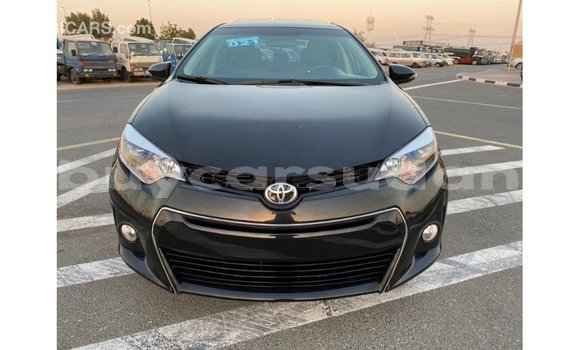 Buy Import Toyota Corolla Black Car in Import - Dubai in Al Jazirah State Buy Import Toyota Corolla Black Car in Import - Dubai in Al Jazirah State