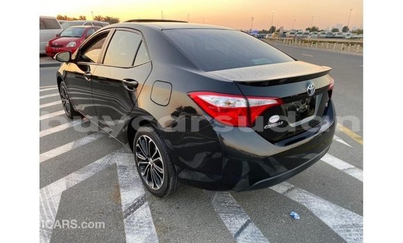 Buy Import Toyota Corolla Black Car in Import - Dubai in Al Jazirah State Buy Import Toyota Corolla Black Car in Import - Dubai in Al Jazirah State