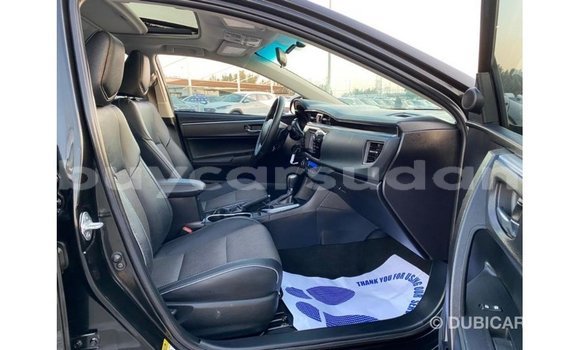 Buy Import Toyota Corolla Black Car in Import - Dubai in Al Jazirah State Buy Import Toyota Corolla Black Car in Import - Dubai in Al Jazirah State