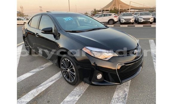 Buy Import Toyota Corolla Black Car in Import - Dubai in Al Jazirah State Buy Import Toyota Corolla Black Car in Import - Dubai in Al Jazirah State