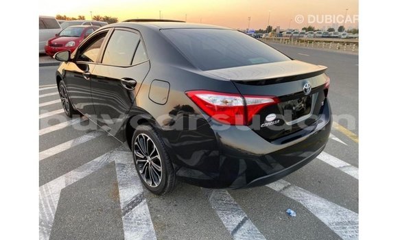 Buy Import Toyota Corolla Black Car in Import - Dubai in Al Jazirah State Buy Import Toyota Corolla Black Car in Import - Dubai in Al Jazirah State