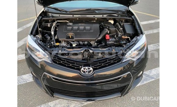 Buy Import Toyota Corolla Black Car in Import - Dubai in Al Jazirah State Buy Import Toyota Corolla Black Car in Import - Dubai in Al Jazirah State