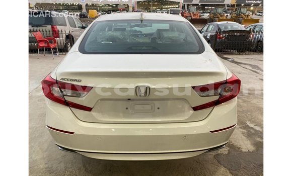 Buy Import Honda T White Bike in Import - Dubai in Al Jazirah State Buy Import Honda T White Bike in Import - Dubai in Al Jazirah State