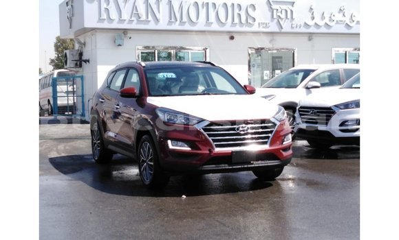 Buy Import Hyundai Tucson Red Car in Import - Dubai in Al Jazirah State Buy Import Hyundai Tucson Red Car in Import - Dubai in Al Jazirah State
