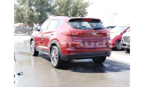 Buy Import Hyundai Tucson Red Car in Import - Dubai in Al Jazirah State Buy Import Hyundai Tucson Red Car in Import - Dubai in Al Jazirah State