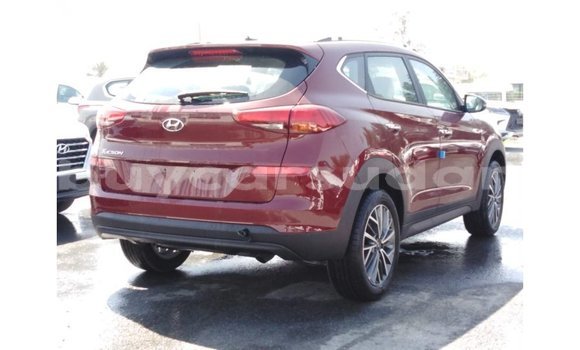Buy Import Hyundai Tucson Red Car in Import - Dubai in Al Jazirah State Buy Import Hyundai Tucson Red Car in Import - Dubai in Al Jazirah State
