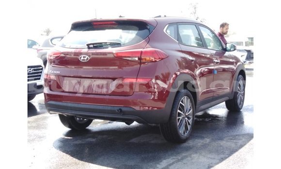 Buy Import Hyundai Tucson Red Car in Import - Dubai in Al Jazirah State Buy Import Hyundai Tucson Red Car in Import - Dubai in Al Jazirah State