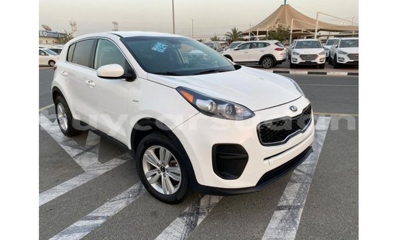 Buy Import Kia Sportage White Car in Import - Dubai in Al Jazirah State Buy Import Kia Sportage White Car in Import - Dubai in Al Jazirah State