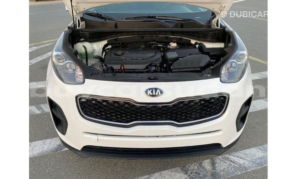 Buy Import Kia Sportage White Car in Import - Dubai in Al Jazirah State Buy Import Kia Sportage White Car in Import - Dubai in Al Jazirah State