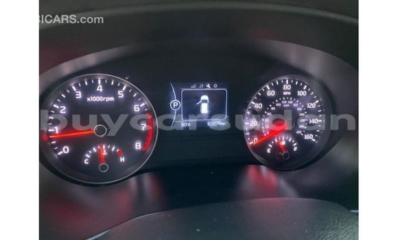 Buy Import Kia Sportage White Car in Import - Dubai in Al Jazirah State Buy Import Kia Sportage White Car in Import - Dubai in Al Jazirah State