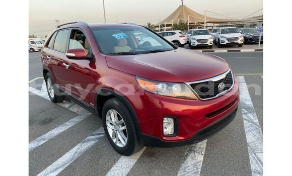 Buy Import Kia Sorento Red Car in Import - Dubai in Al Jazirah State Buy Import Kia Sorento Red Car in Import - Dubai in Al Jazirah State