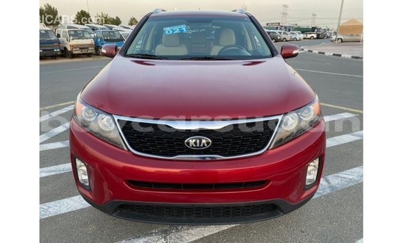 Buy Import Kia Sorento Red Car in Import - Dubai in Al Jazirah State Buy Import Kia Sorento Red Car in Import - Dubai in Al Jazirah State