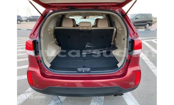 Buy Import Kia Sorento Red Car in Import - Dubai in Al Jazirah State Buy Import Kia Sorento Red Car in Import - Dubai in Al Jazirah State