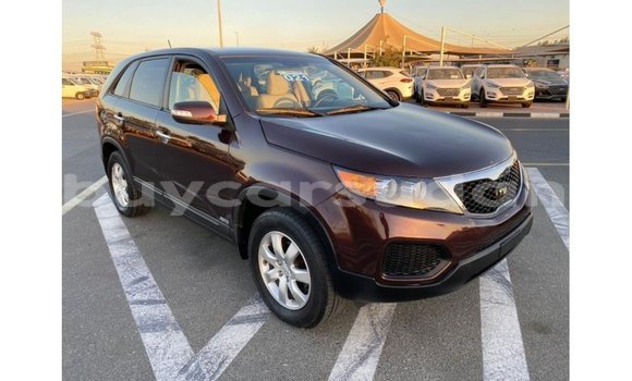 Buy Import Kia Sorento Brown Car in Import - Dubai in Al Jazirah State Buy Import Kia Sorento Brown Car in Import - Dubai in Al Jazirah State