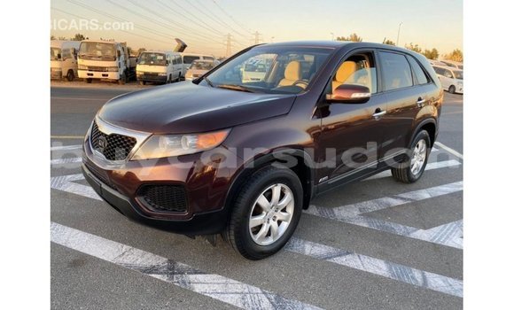 Buy Import Kia Sorento Brown Car in Import - Dubai in Al Jazirah State Buy Import Kia Sorento Brown Car in Import - Dubai in Al Jazirah State