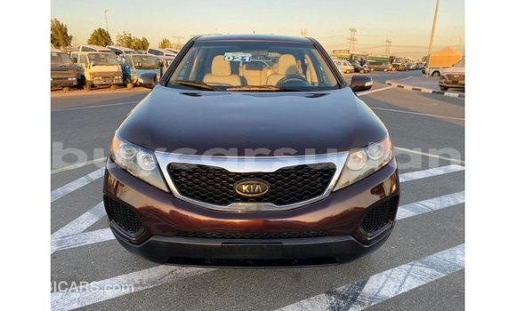 Buy Import Kia Sorento Brown Car in Import - Dubai in Al Jazirah State Buy Import Kia Sorento Brown Car in Import - Dubai in Al Jazirah State