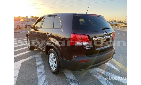 Buy Import Kia Sorento Brown Car in Import - Dubai in Al Jazirah State Buy Import Kia Sorento Brown Car in Import - Dubai in Al Jazirah State