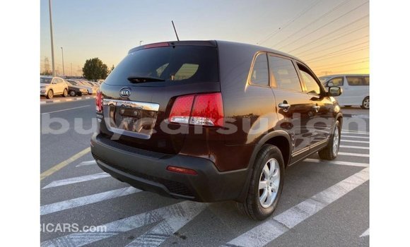 Buy Import Kia Sorento Brown Car in Import - Dubai in Al Jazirah State Buy Import Kia Sorento Brown Car in Import - Dubai in Al Jazirah State