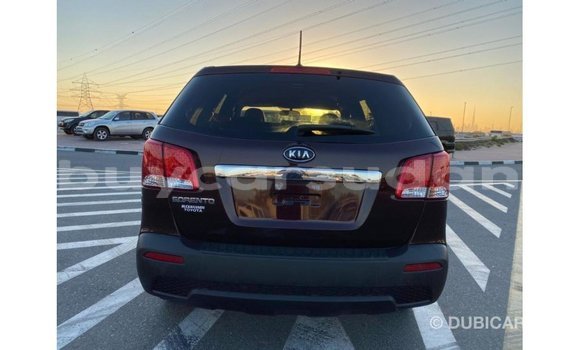 Buy Import Kia Sorento Brown Car in Import - Dubai in Al Jazirah State Buy Import Kia Sorento Brown Car in Import - Dubai in Al Jazirah State